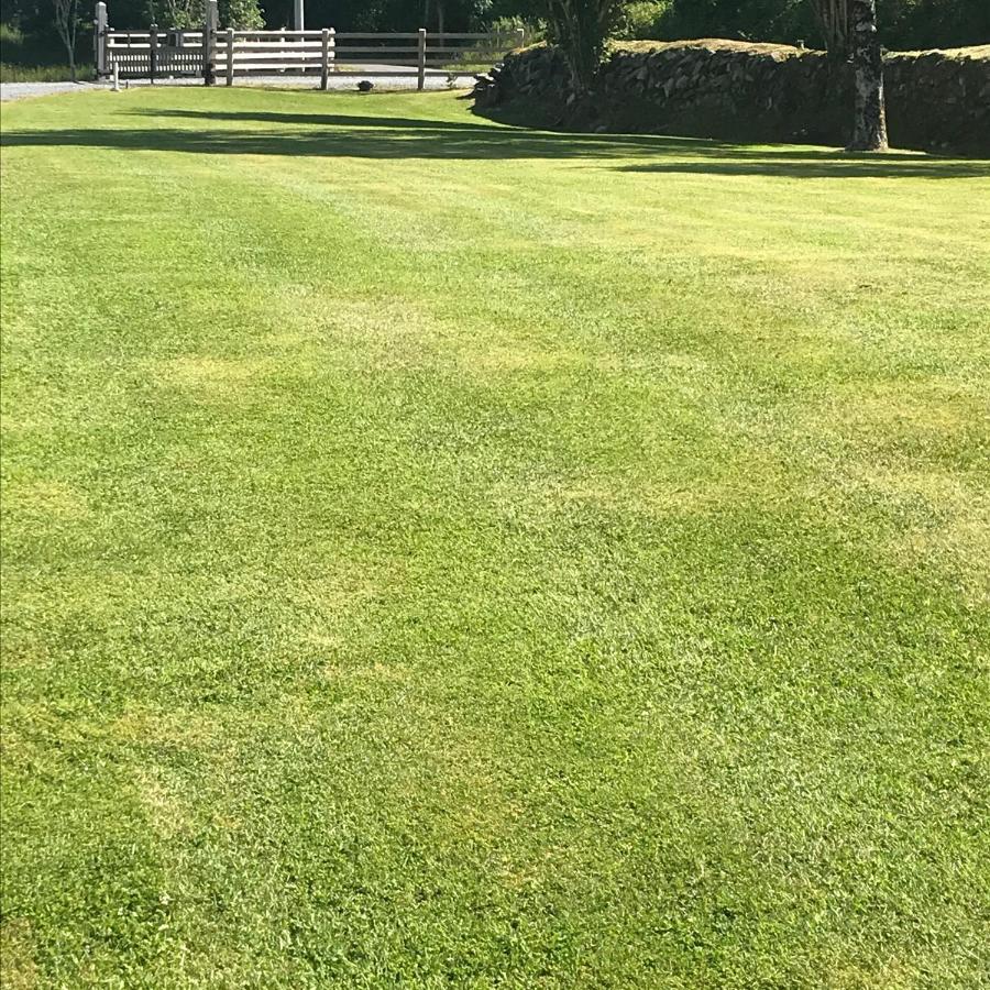 Lissyclearig Lodge Kenmare Εξωτερικό φωτογραφία